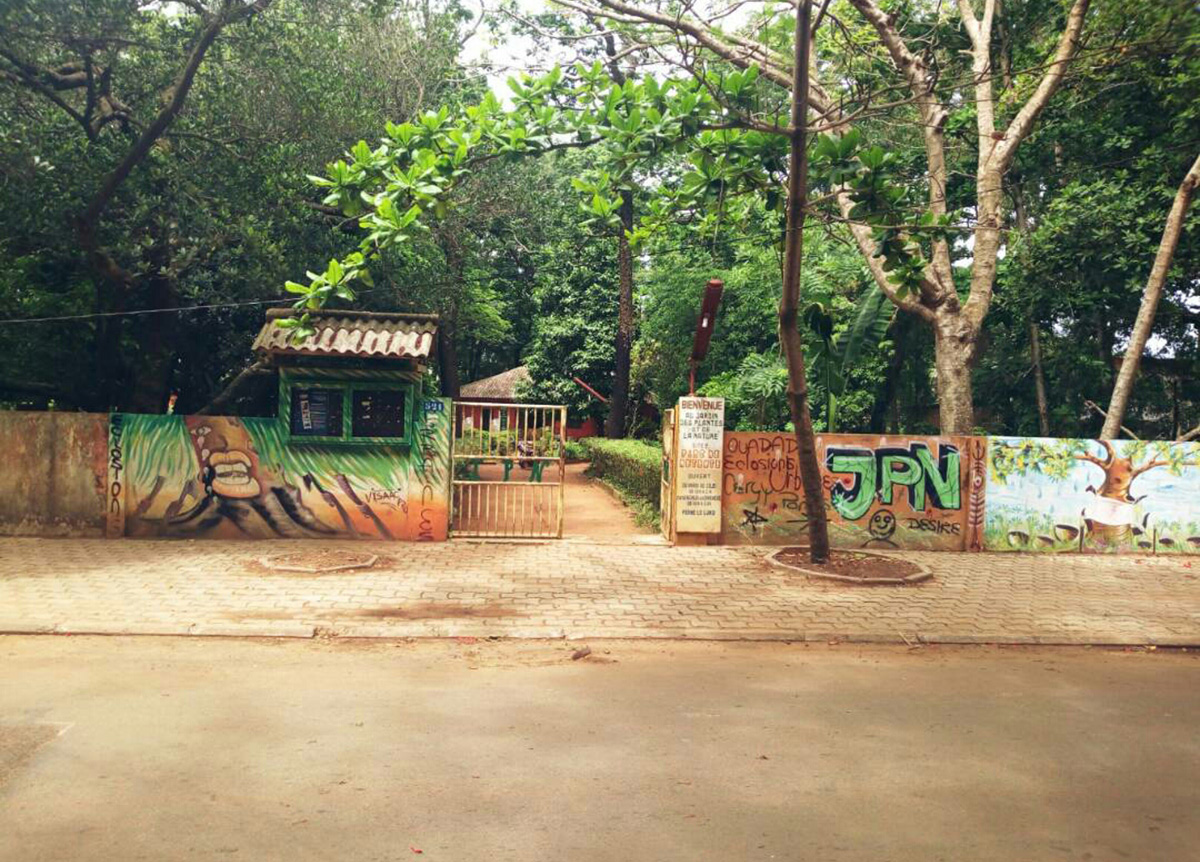 Jardin Des Plantes Et De La Nature Botanical Garden Porto Novo Benin