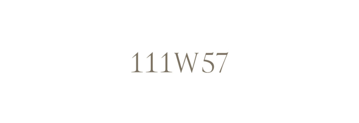 Steinway Tower 111W 57th