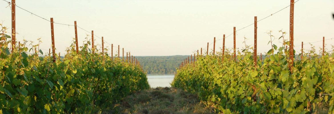 Finger Lakes Wine Country, Rochester, New York, USA