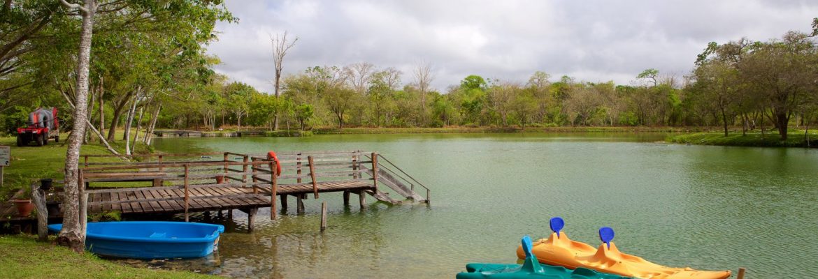 Parque Ecologico Rio Formoso, Bonito, State of Mato Grosso do Sul, Brazil