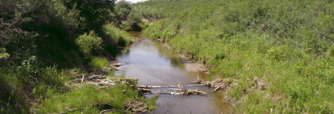 Beaver Creek Conservation Area