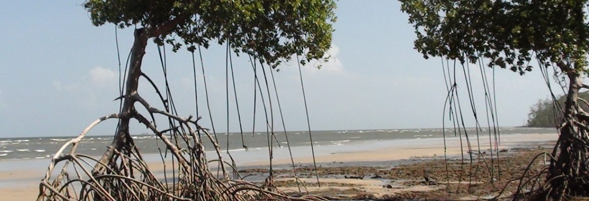 Fazenda São Jerônimo, Soure, Belem, State of Para, Brazil