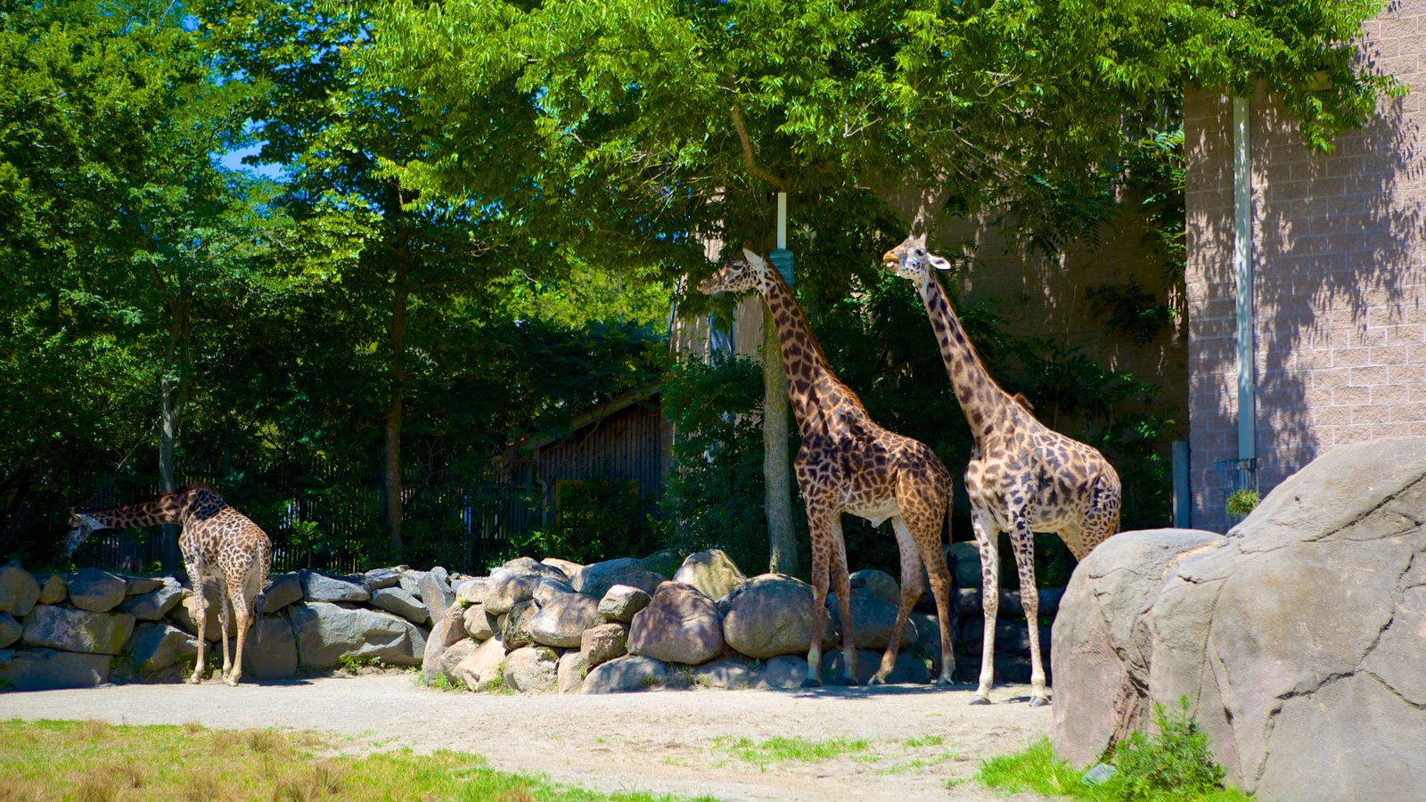 Roger Williams Park Zoo, Providence, Rhode Island, USA Heroes Of Adventure