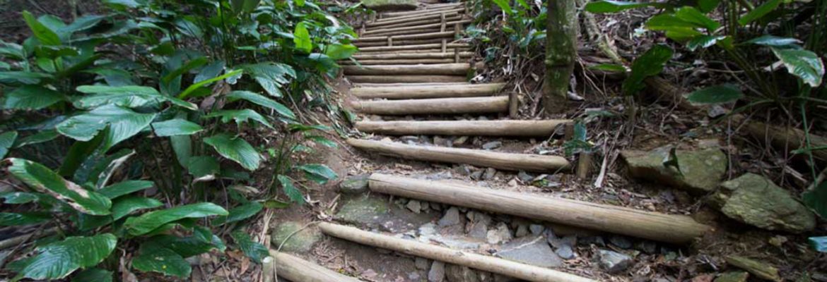 Morro Da Urca Hiking Trails, Urca, Rio de Janeiro State, Brazil