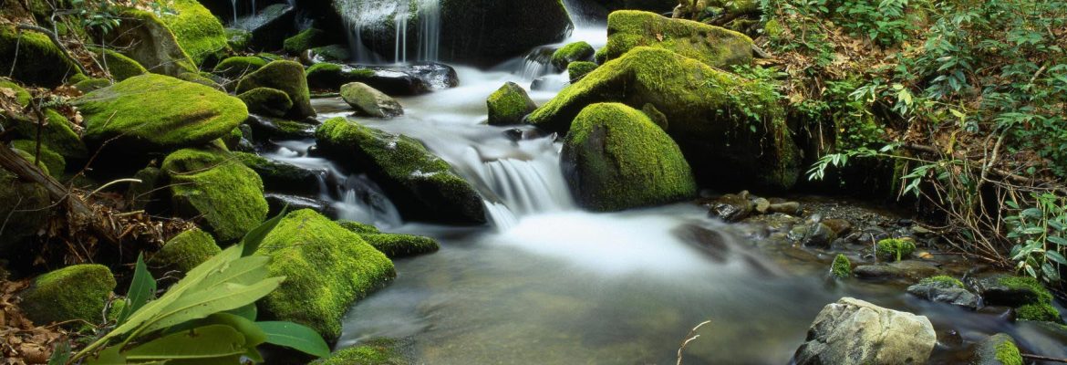 Roaring Fork, Great Smoky Mountains National Park, Tennessee, USA