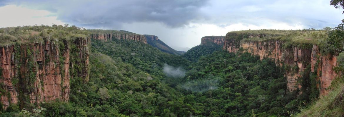 Cabo Orange National Park, Oiapoque, State of Amapa, Brazil
