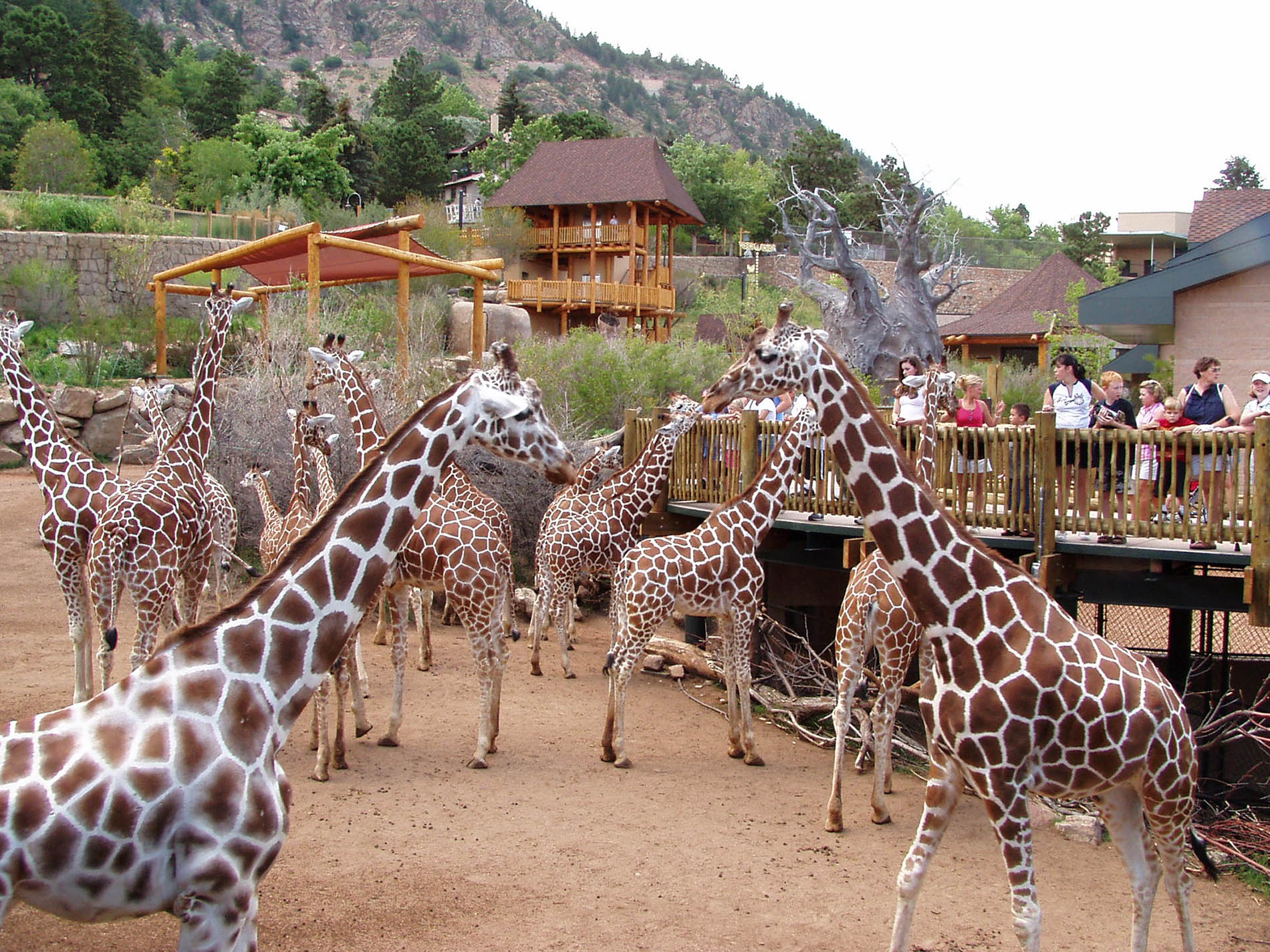 Cheyenne Mountain Zoo, Colorado Springs, Colorado, USA Heroes Of