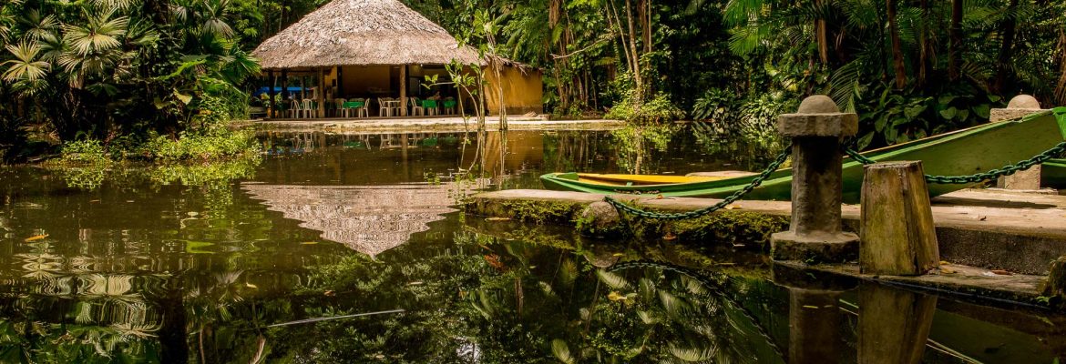 Bosque Rodrigues Alves – Amazon Zoobotânico Garden, Belem, State of Para, Brazil