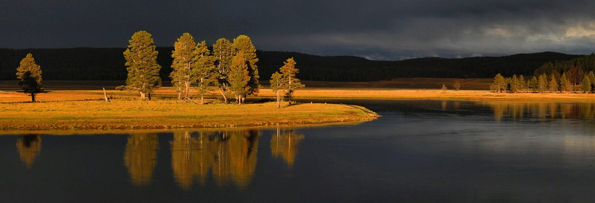 Hayden Valley, Yellowstone National Park, Wyoming, USA