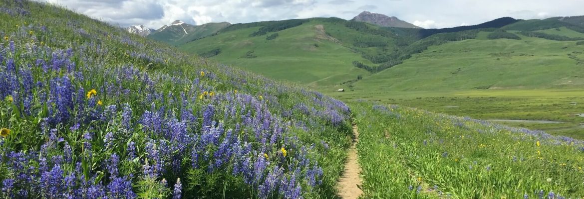 Hiking Crested Butte, Colorado, USA