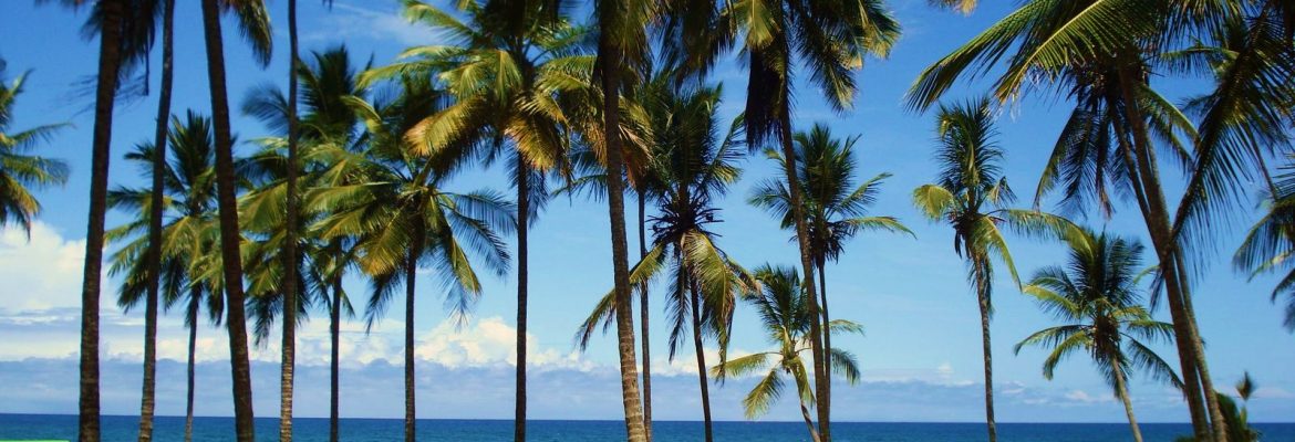 Itacarezinho Beach, Itacaré, State of Bahia, Brazil
