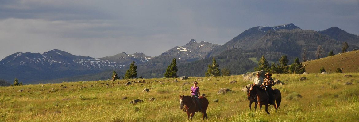 Horse Riding Adventure, West Yellowstone, Montana, USA