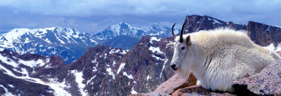 Mount Evans Scenic Byway, Denver, Colorado, USA