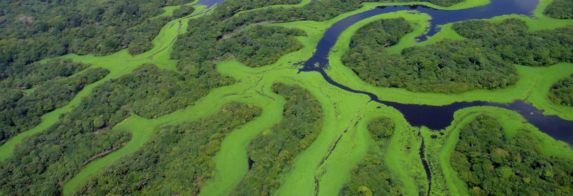 Anavilhanas National Parkas, Novo Airão, State of Amazonas, Brazil