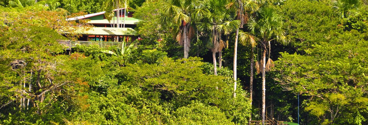 Novo Airão, State of Amazonas, Brazil