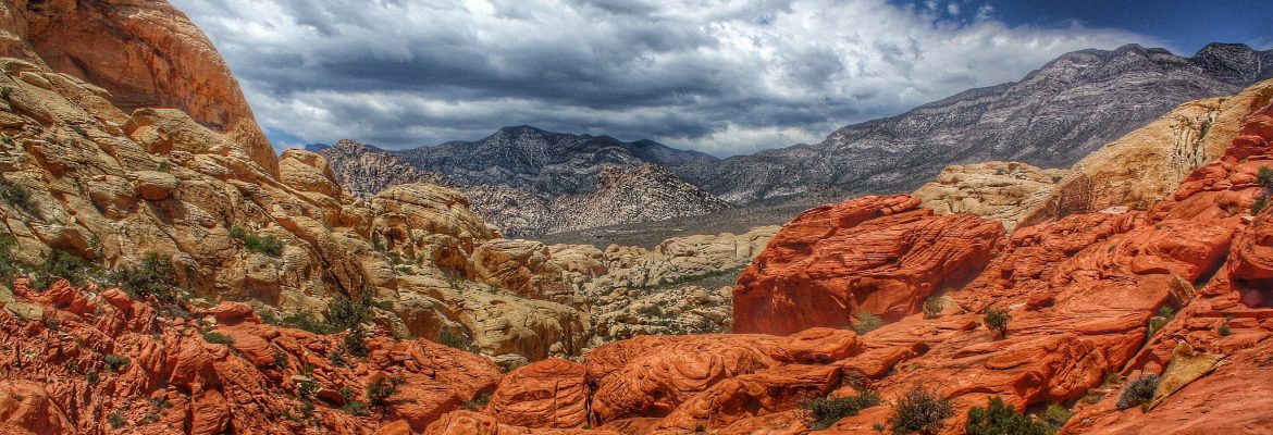 Red Rock Canyon National Conservation Area, Las Vegas, Nevada, USA