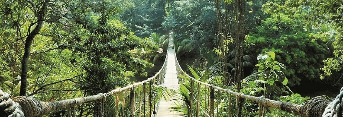 Parque Nacional La Tigra, Honduras