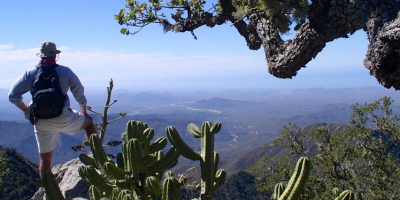 Sierra de la Laguna, Baja, Mexico