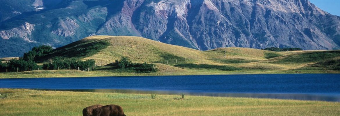 Waterton Glacier International Peace Park, Unesco, MT, Canada