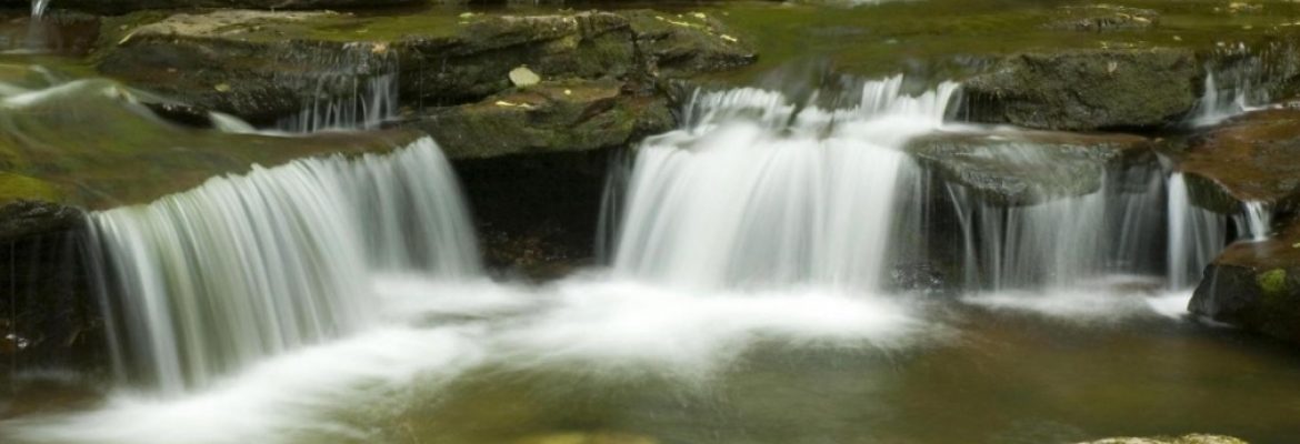 Ecological Reserve Waterfall Sanctuary, Figueiredo, State of Amazonas, Brazil