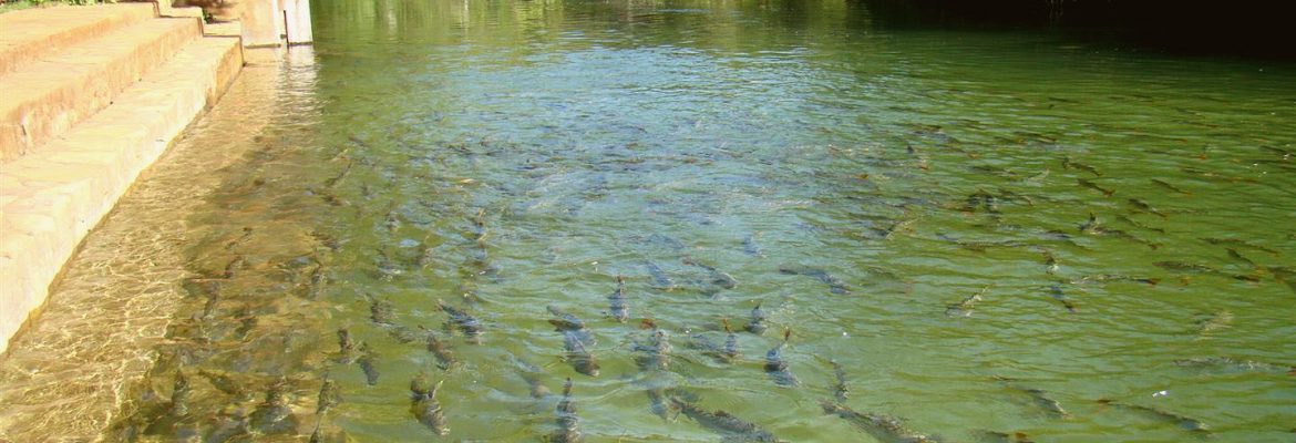 Balneario Municipal, Bonito, State of Mato Grosso do Sul, Brazil