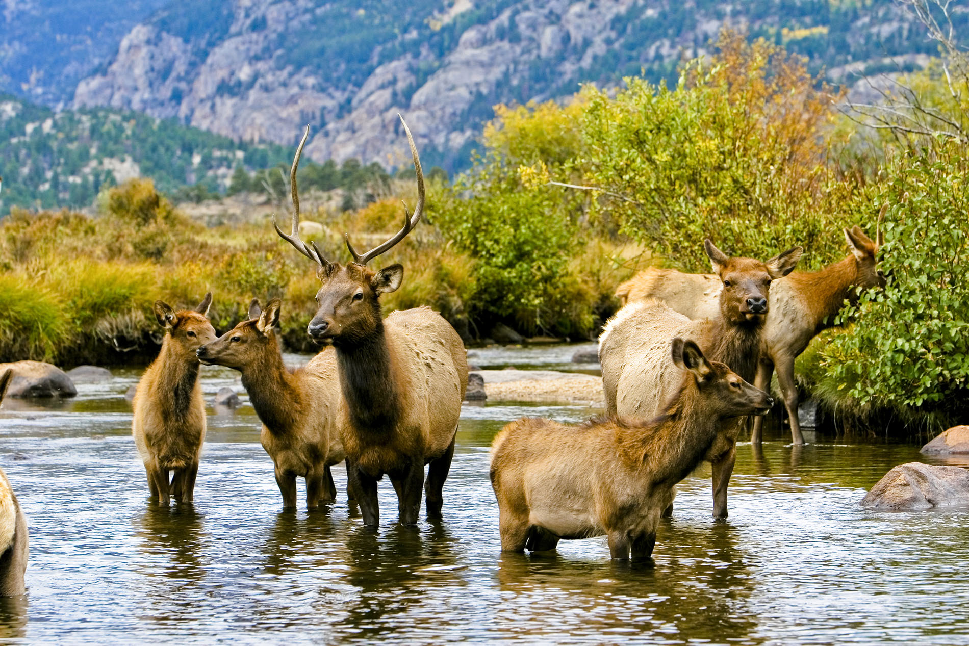 Colorado river park wildlife sanctuary