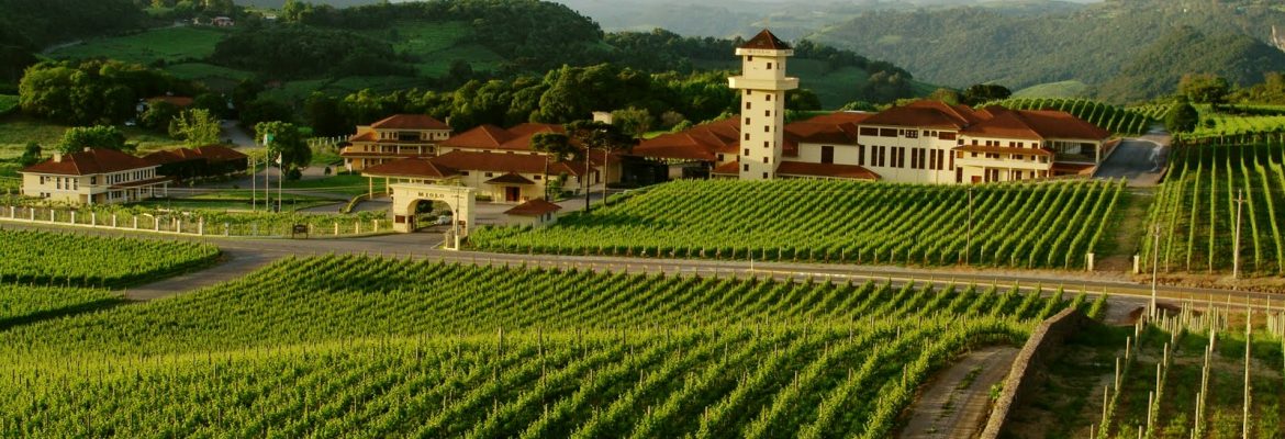 Vale dos Vinhedos, Bento Goncalves, State of Rio Grande do Sul, Brazil
