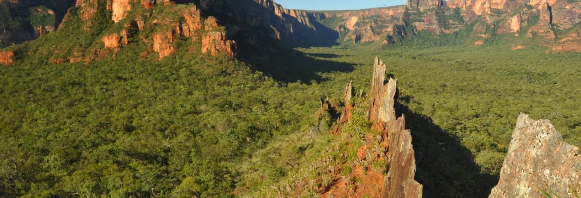 Vale do Rio Claro National Park, Chapada dos Guimaraes, State of Mato Grosso, Brazil