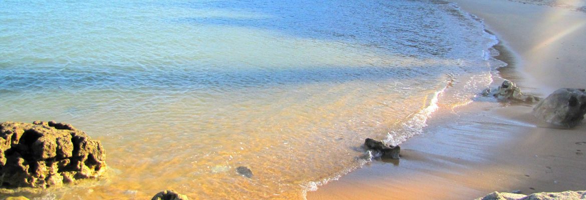 Praia do Espelho Beach, Trancoso, State of Bahia, Brazil