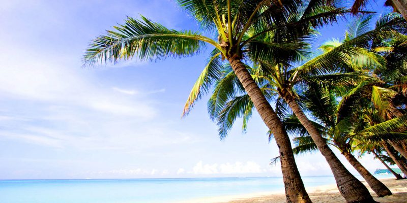 Beach Araxa, Macapa, State of Amapa, Brazil