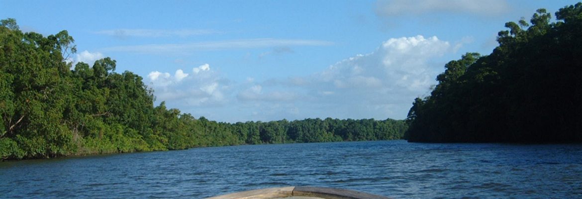 Rio Preguicas, State of Maranhao, Brazil