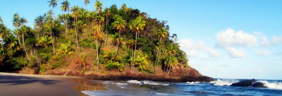 Prainha Beach, State of Bahia, Brazil