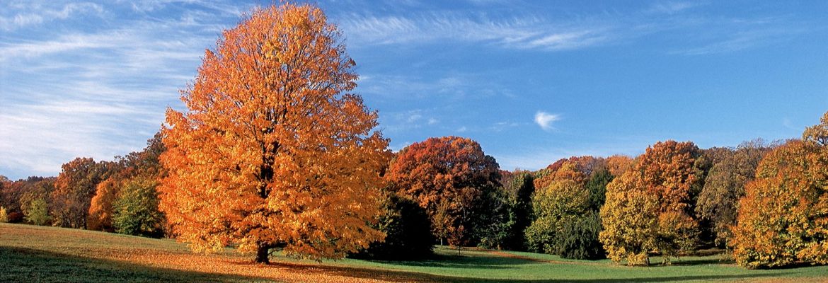 Morton Arboretum, Lisle,  Illinois, USA