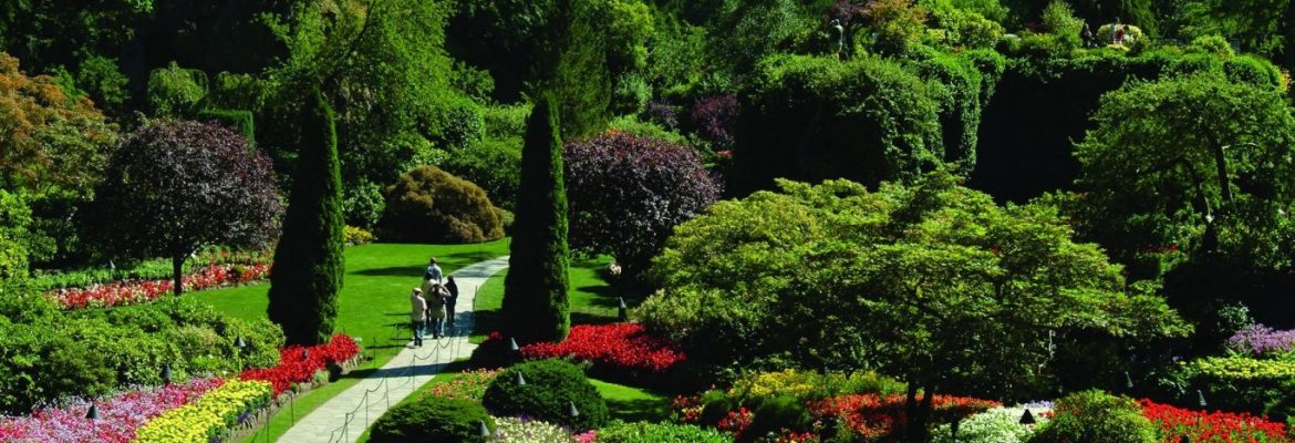 Brasilia Botanical Garden, State of Goiás, Brazil