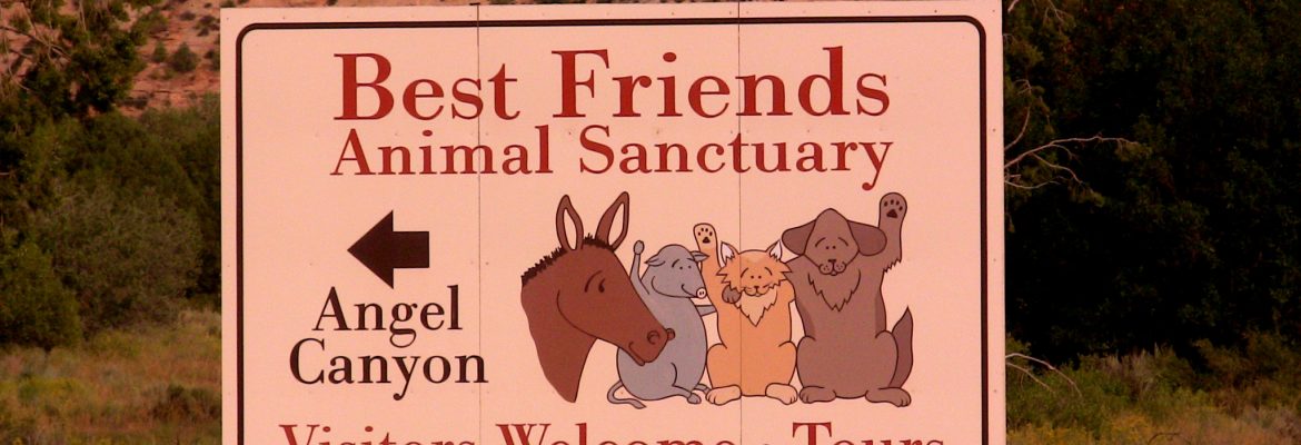 Best Friends Animal Sanctuary, Kanab, Utah, USA
