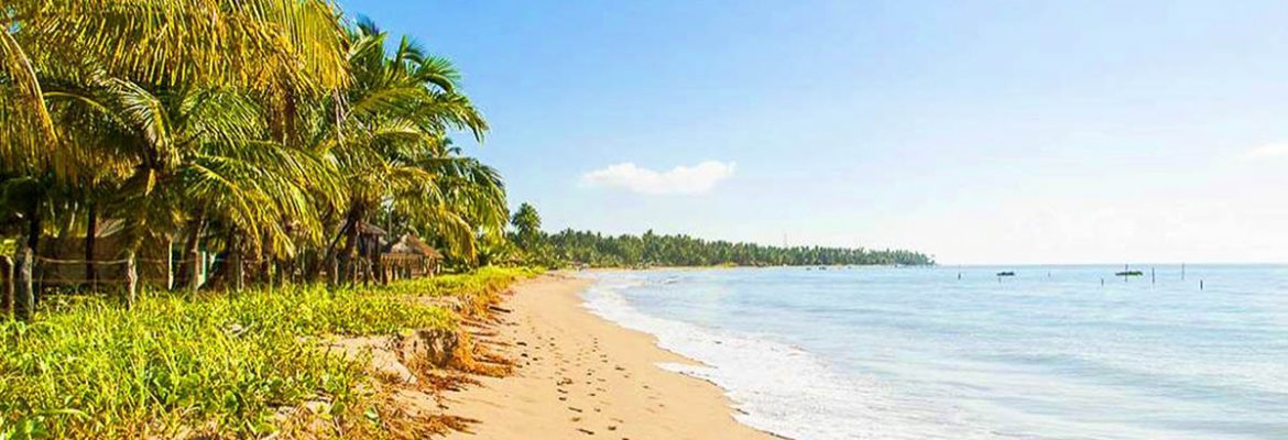 Praia Ponta do Mangue, Maragogi, State of Alagoas, Brazil