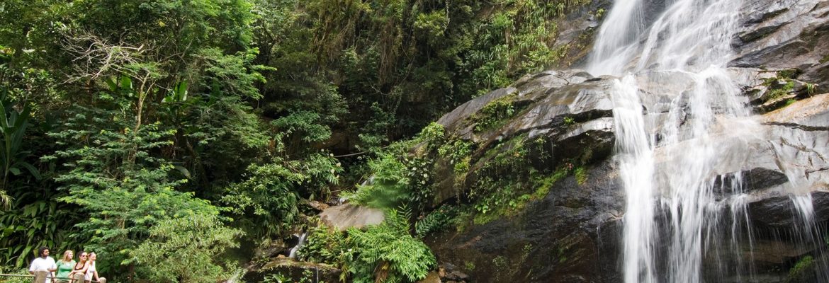 Tijuca National Park, Rio de Janeiro State, Brazil
