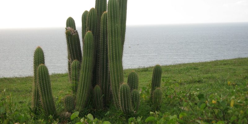 Jericoacoara National Park, Jijoca de Jericoacoara, State of Ceara, Brazil