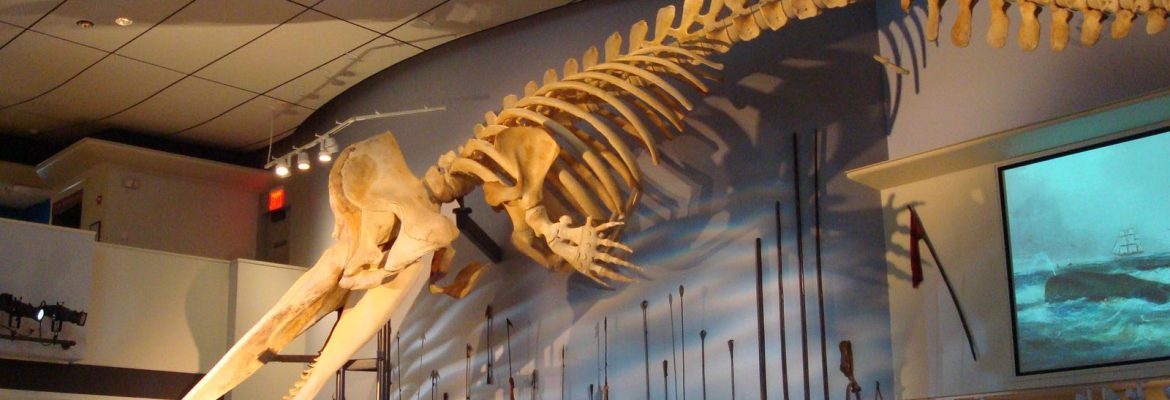 Whaling Museum, Nantucket, Massachusetts, USA