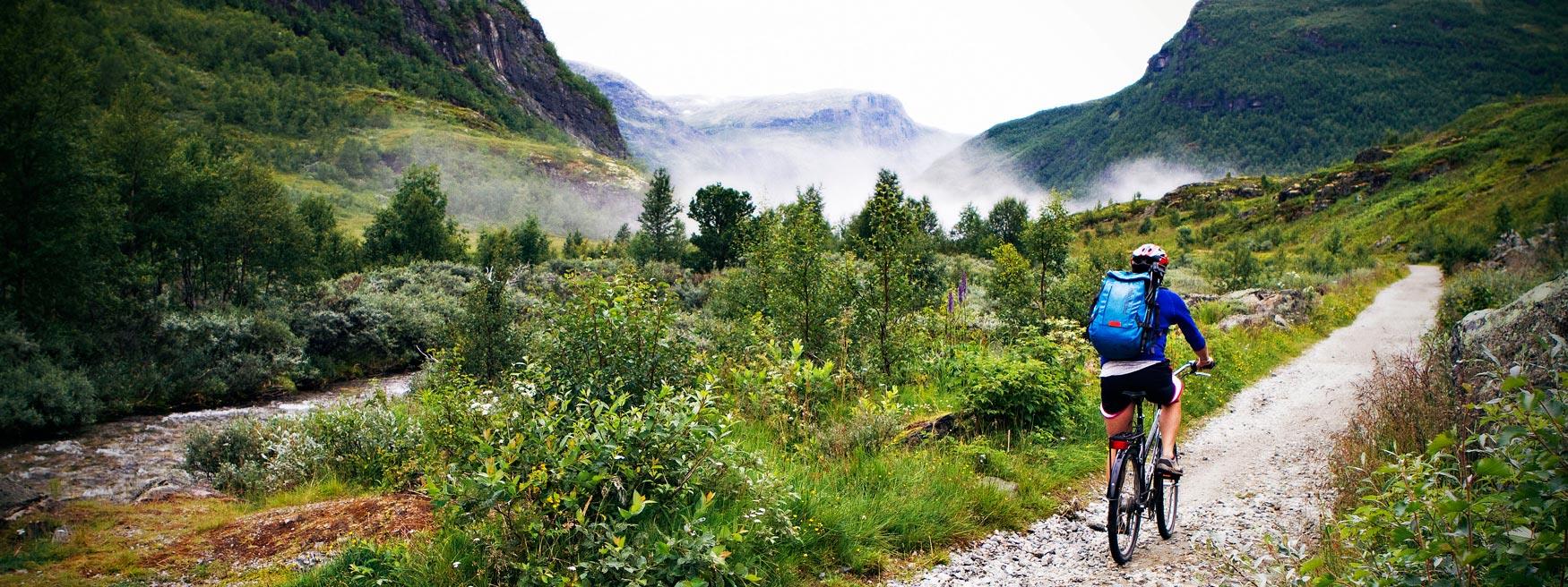 Rallarvegen Scenic Bike Ride Myrdal Sogn Og Fjordane Norway Heroes