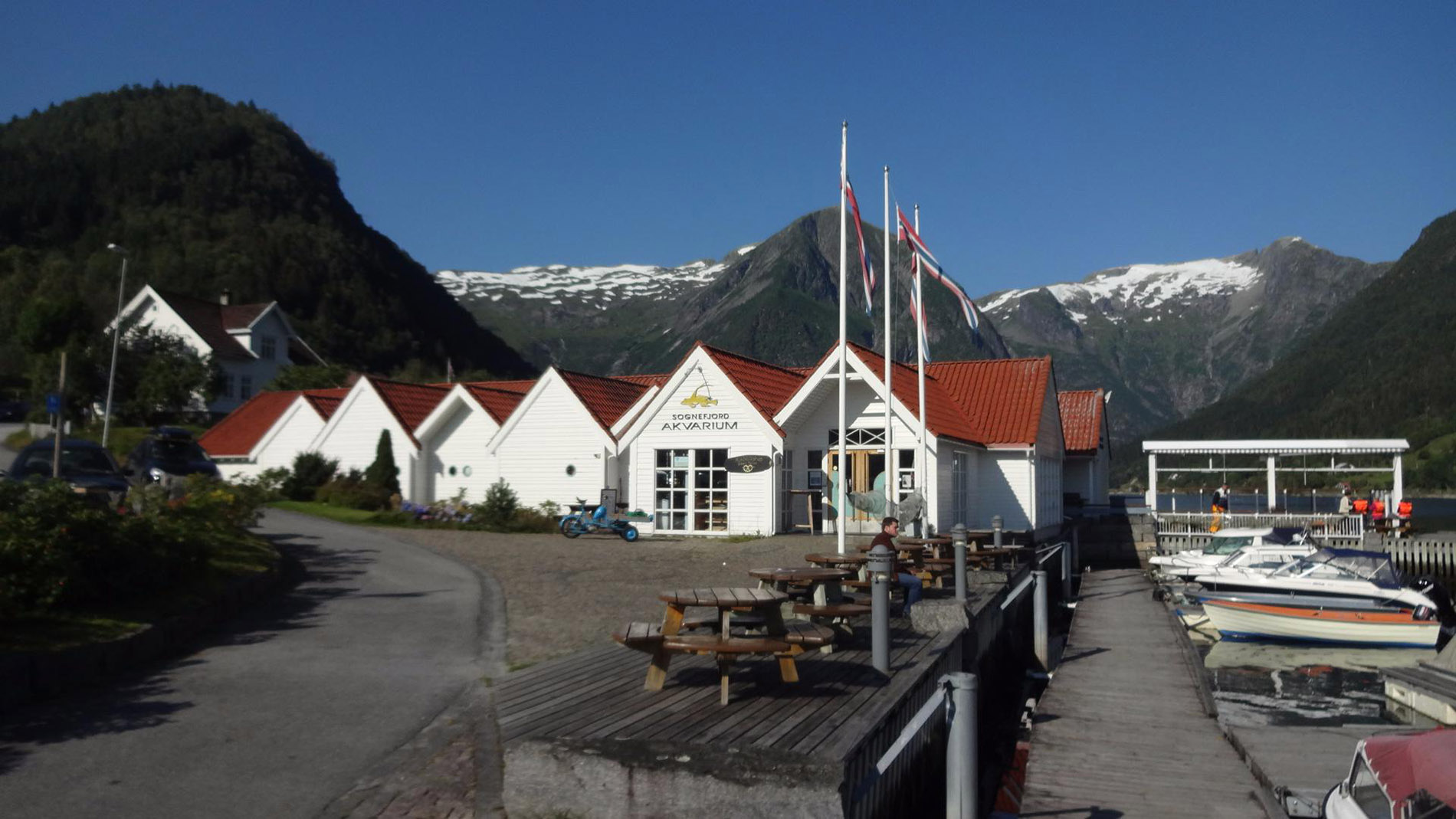Sognefjord Aquarium, Balestrand, Sogn og Fjordane, - Heroes Of