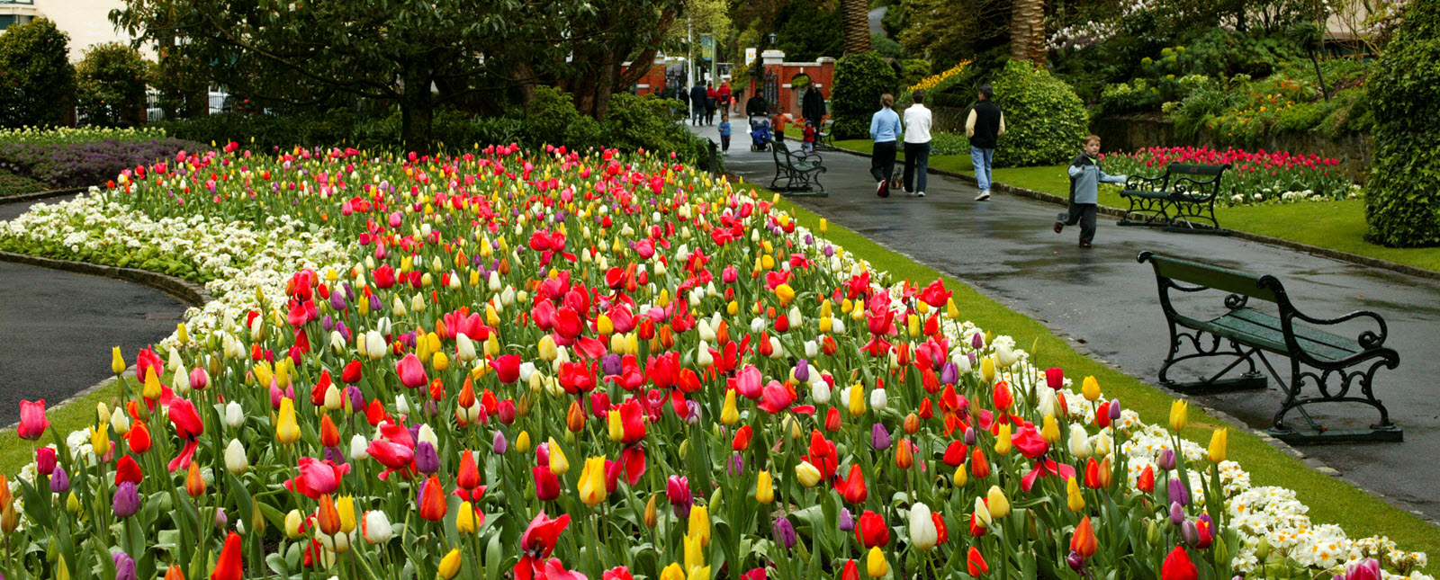 Wellington Botanic Garden, Kelburn, Wellington 6012, New Zealand