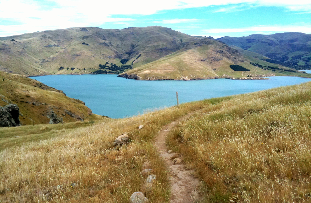 Стрелок новая зеландия. The South-East of New Zealand.