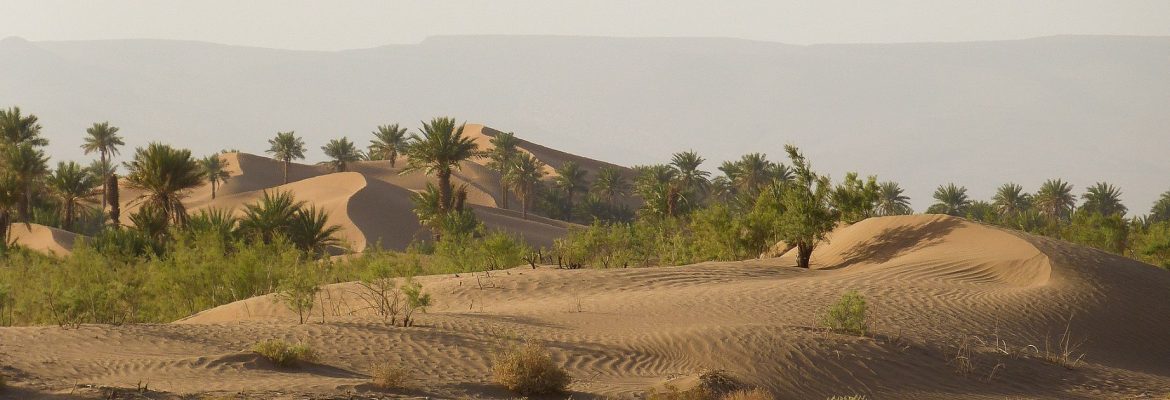 Tagounite Oasis,  Drâa-Tafilalet, Morocco