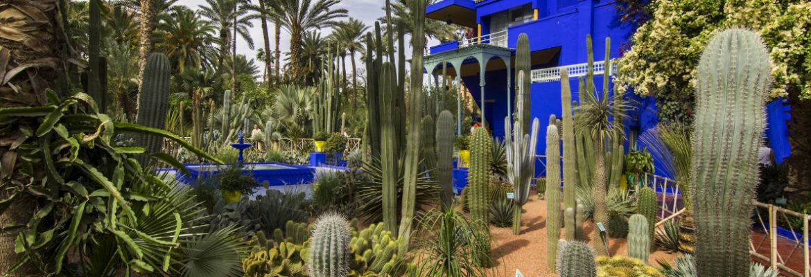Marjorelle Gardens, Marrakech, Marrakesh-Safi, Morocco