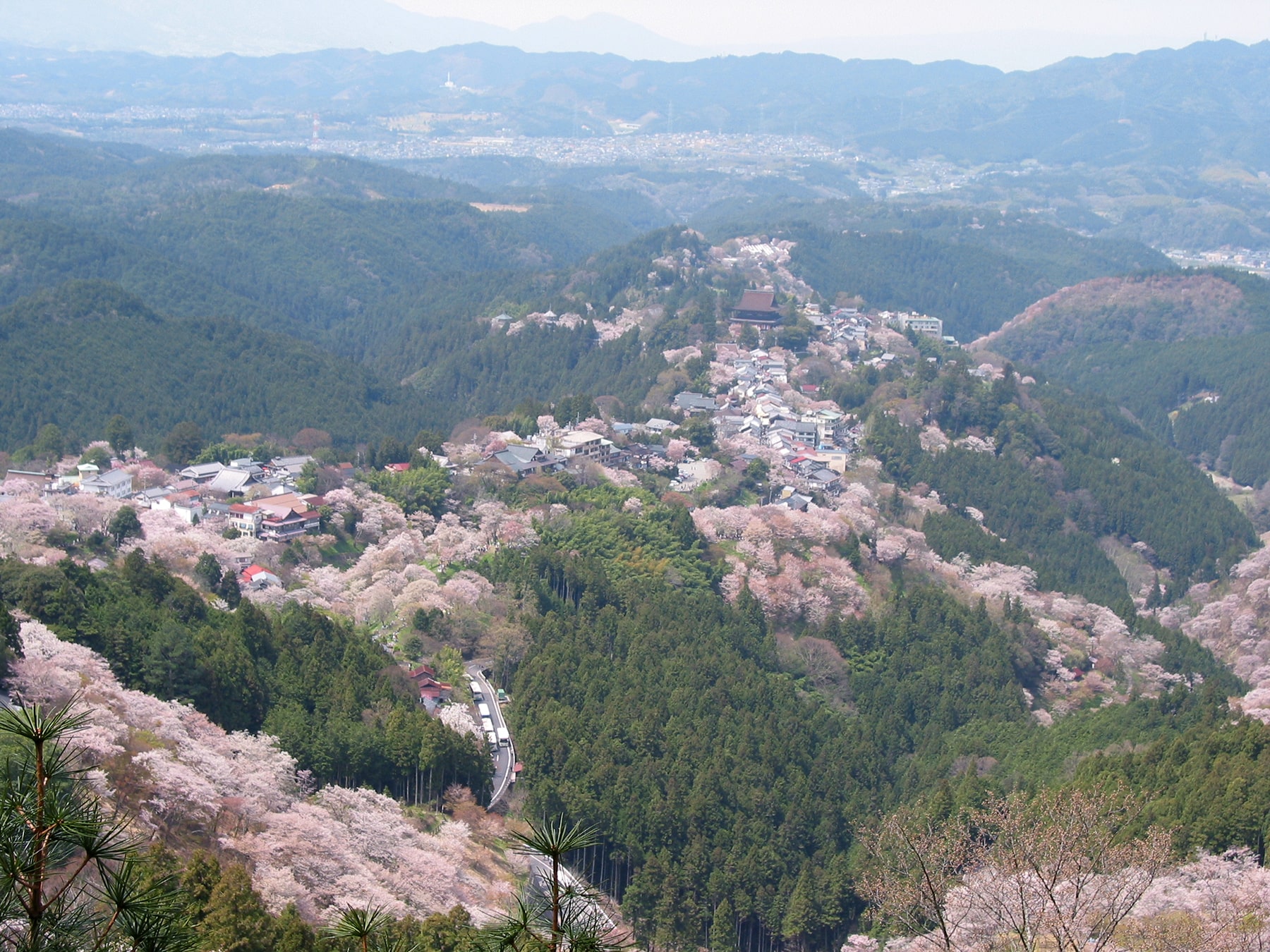 Mount Yoshino, Yoshino, Japan - Heroes Of Adventure