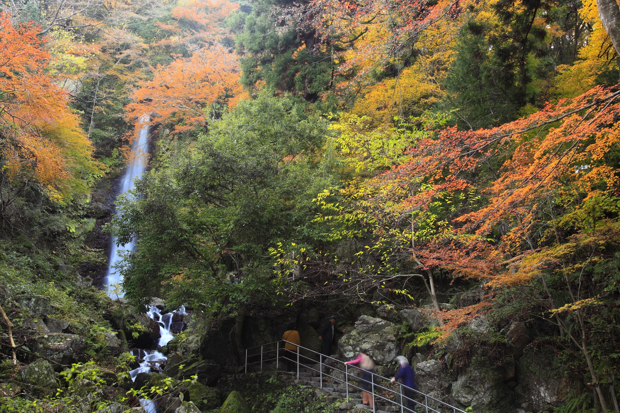 Yoro Park, Gifu, Japan - Heroes Of Adventure