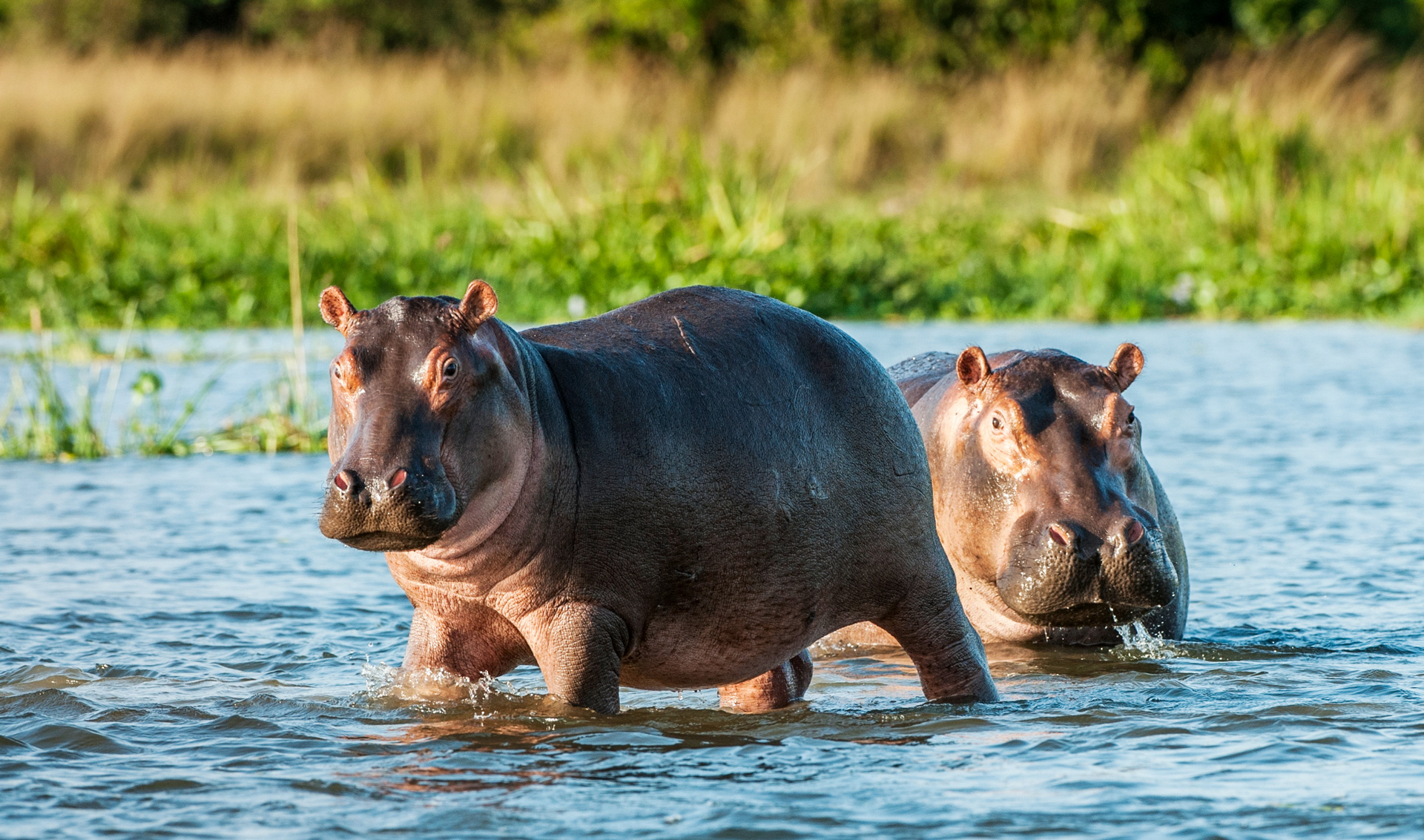 Dulombi-Boe National Park 1, Guinea-Bissau - Heroes Of Adventure