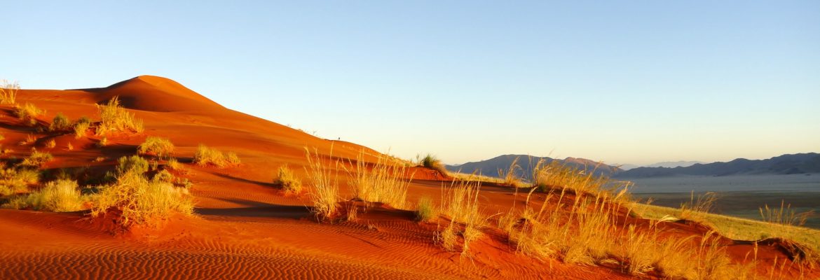 Tirasberge Desert, Namibia
