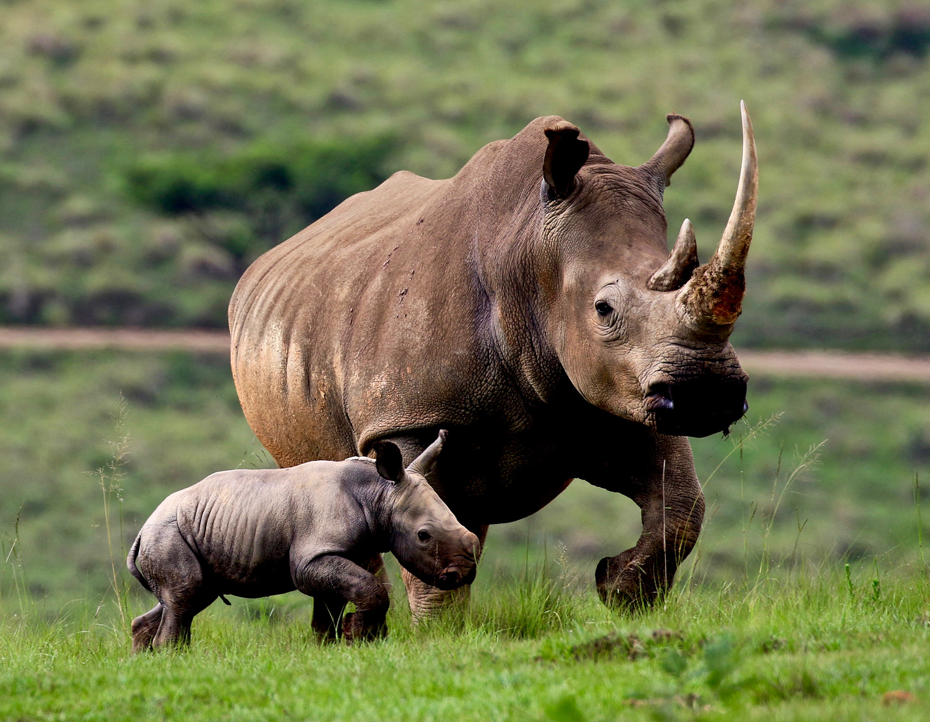 Garamba National Park, UNESCO, DRC - Heroes Of Adventure